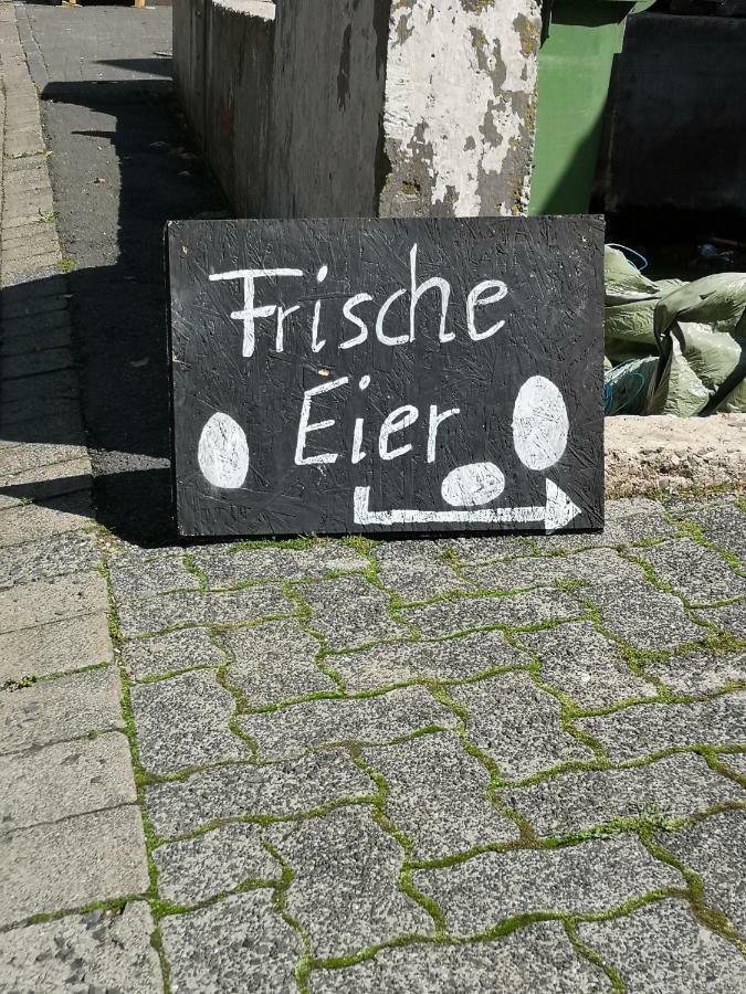 NetphenUrlaub Auf Dem Bauernhofアパートメント エクステリア 写真